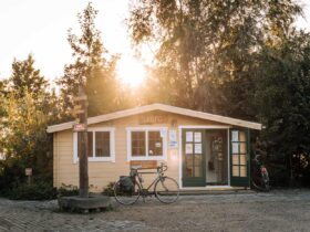 De Besbosch National Park – Camping in the largest freshwater tidal area in Europe
