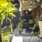 Balcony/Terrace Jungle: Hardy plants and tips