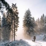 Winter hiking with a child in a carrier - my tips and experiences