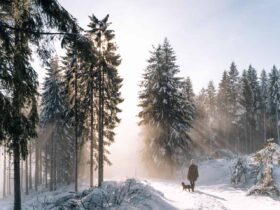 Winter hiking with a child in a carrier - my tips and experiences