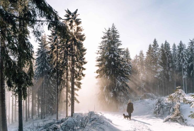 Winter hiking with a child in a carrier - my tips and experiences